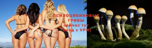 стафф Балабаново