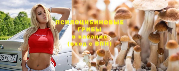 прущий лед Балахна