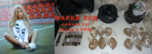 стафф Снежногорск