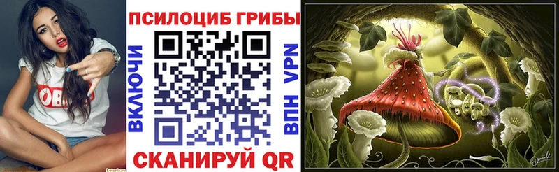где продают   Лагань  Галлюциногенные грибы Magic Shrooms 
